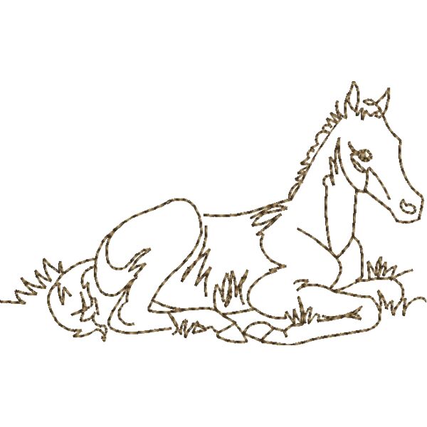 WS609 48 Thumbnail