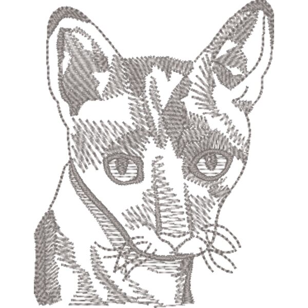 Wo320 Thumbnail