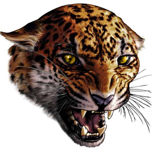 JAGUAR Thumbnail