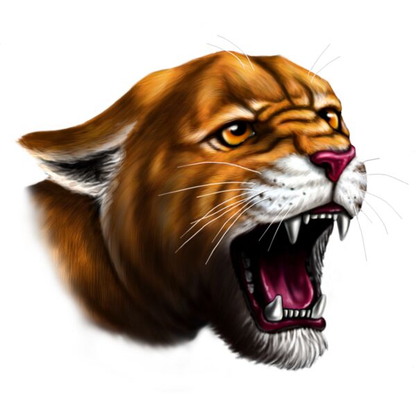 COUGAR Thumbnail